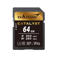 Thumbnail for SD (UHS-II) V90 64 GB Catalyst